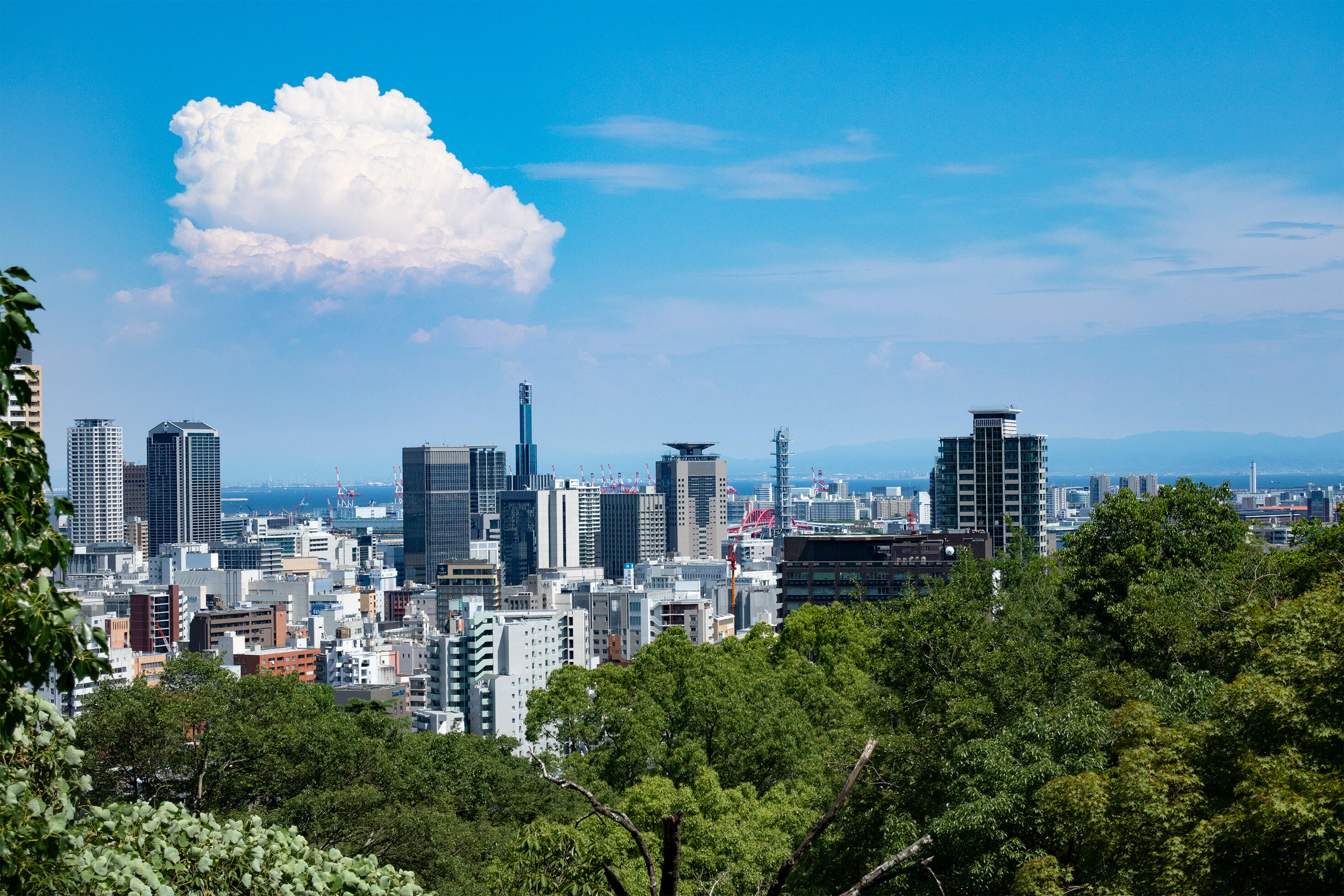 表紙写真(神戸市内近景).jpg