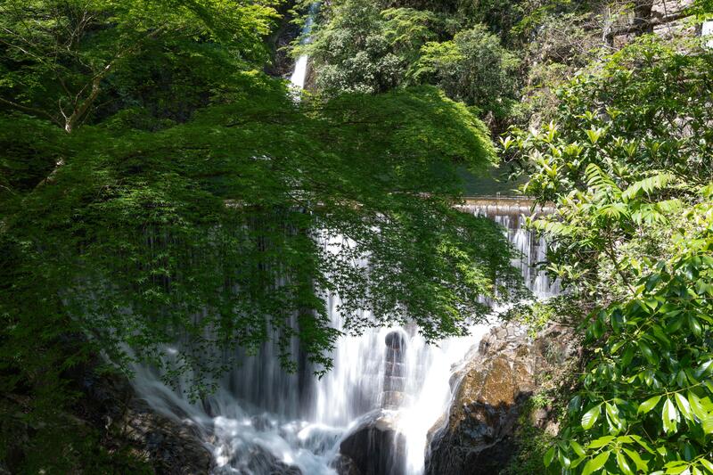 表紙写真.jpg