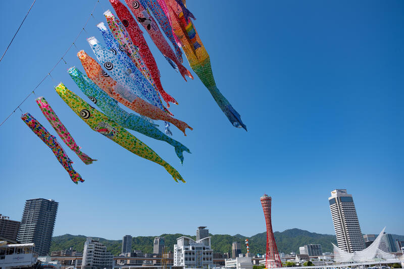 表紙写真.jpg