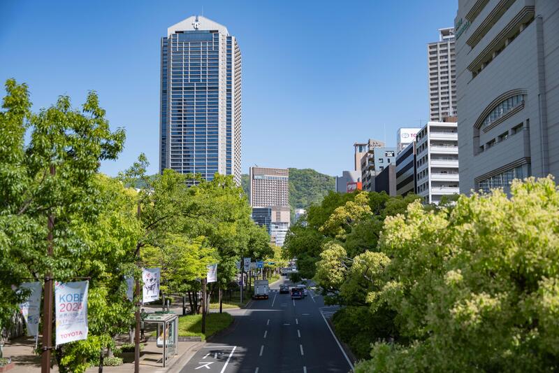 表紙写真.jpg