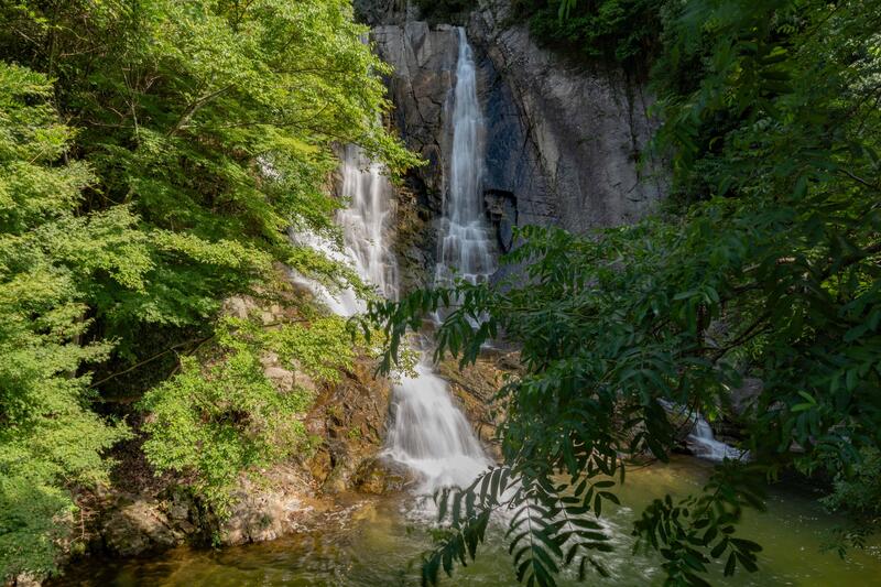 表紙写真.jpg