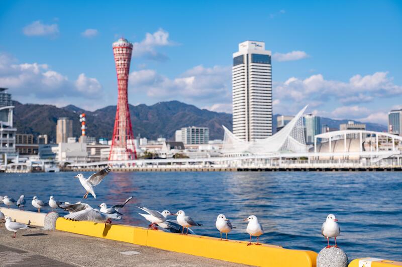 表紙写真.jpg